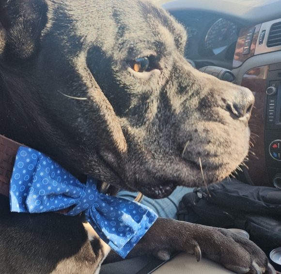 !! GIFTS !! RANDOMNESS GIFTs MARCH2026 - Picture 4 of 15